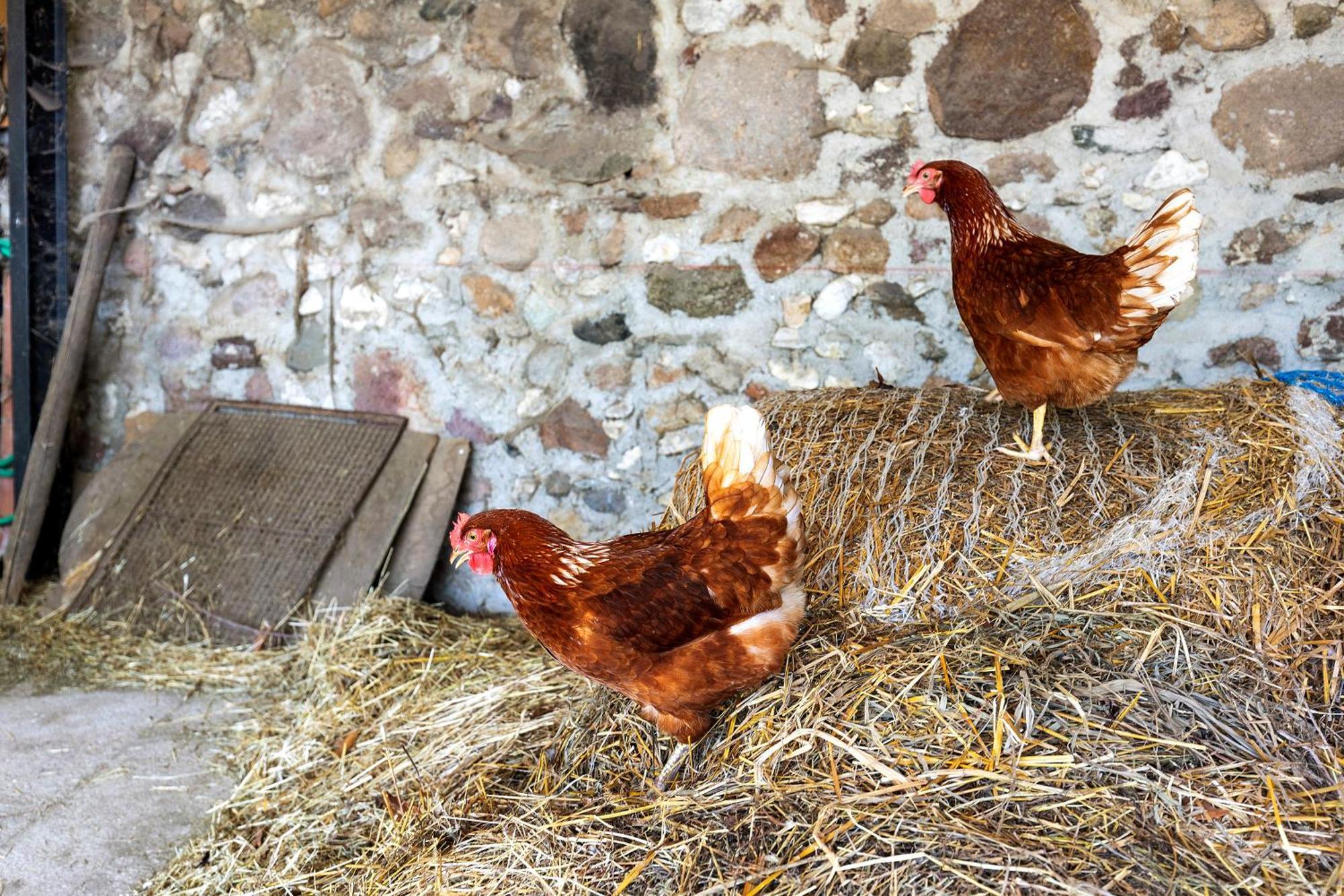 New Agriturismo Corte Olfino Monzambano Dış mekan fotoğraf